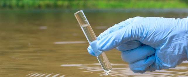 Sample Water from a River Taken for Analysis