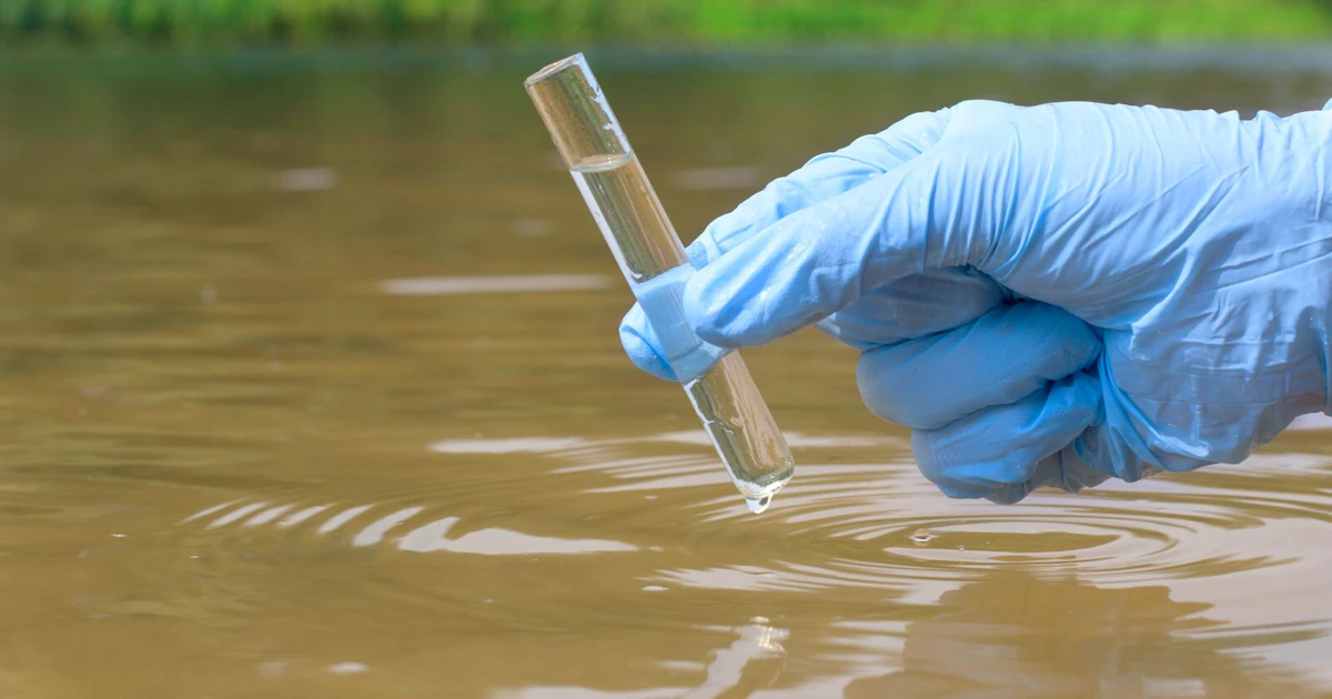 Ballast Samples Ballast Water Testing | SGS Singapore