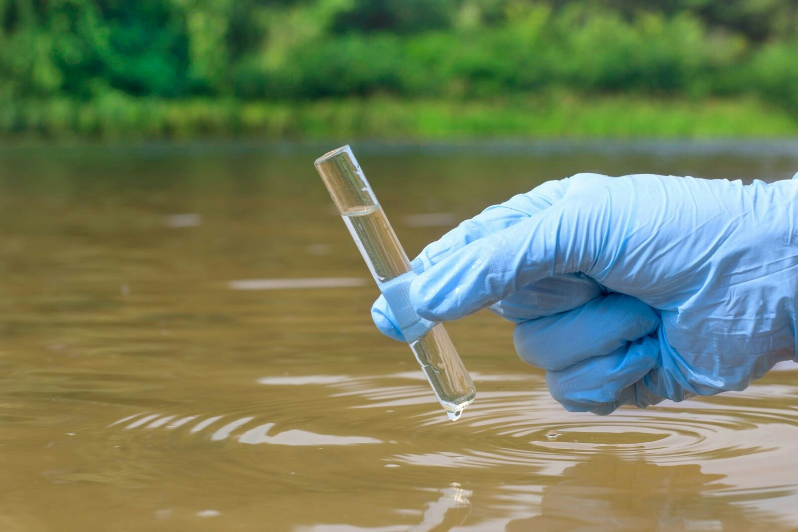 Sample Water from a River Taken for Analysis