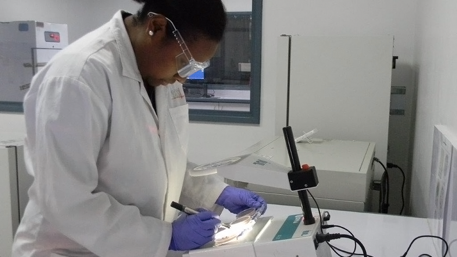 Scientist Analyzing Sample in Laboratory 