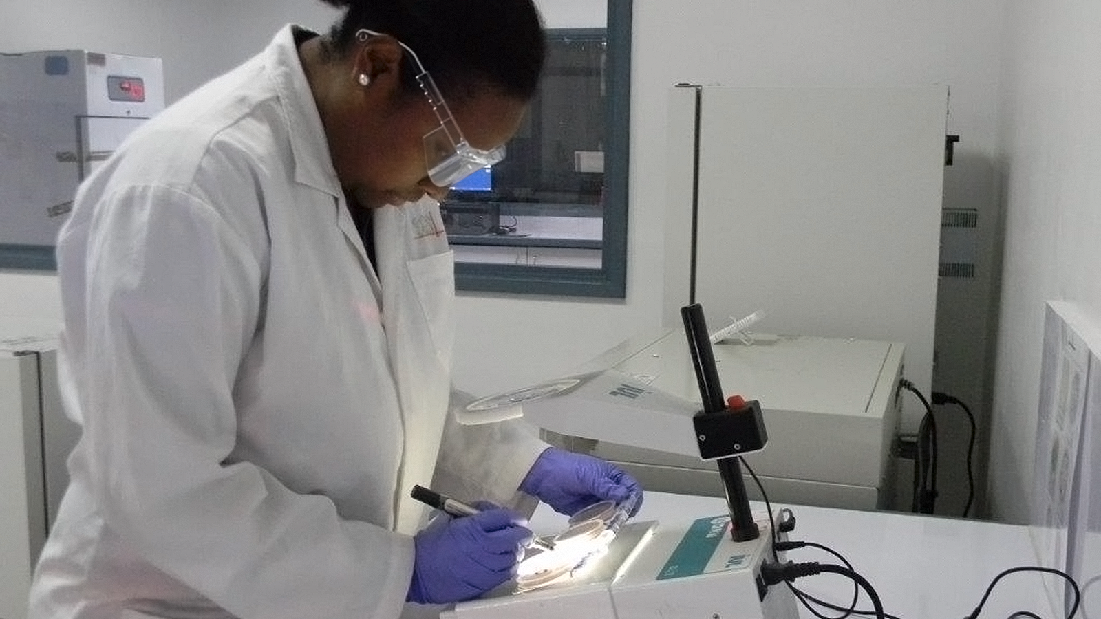 Scientist Analyzing Sample in Laboratory