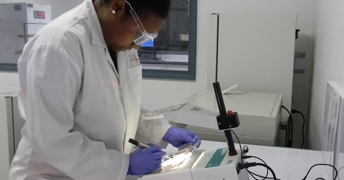 SGS Announces the Official Opening of Its New Food Testing Laboratory ...