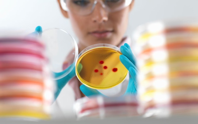 Agricultural Commodities Testing