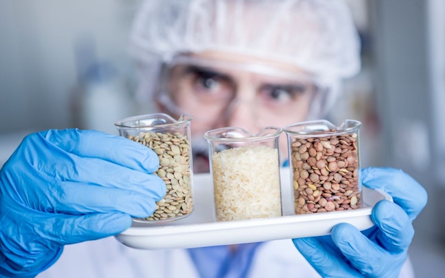 Scientist in Laboratory Examining Rice and Lentils Samples