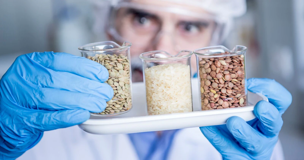 Alternative Seed and Grain Testing | SGS Pakistan