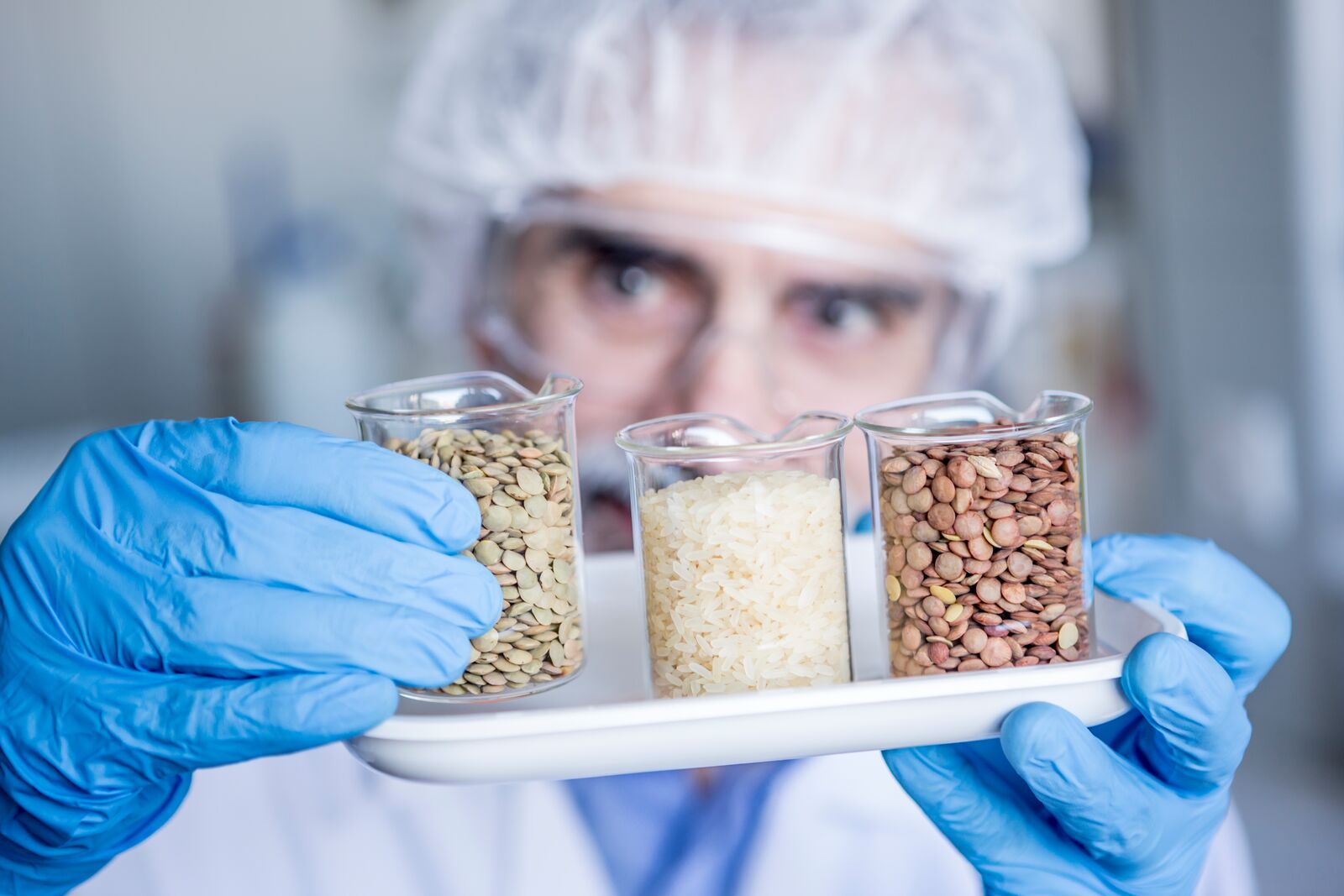 Semilleros plantados