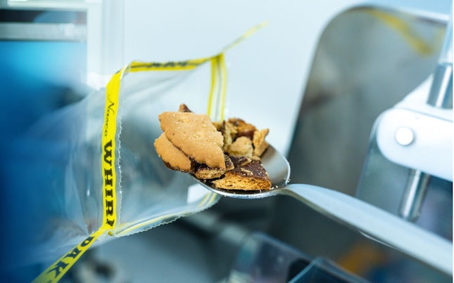 Worker picking tomatoes