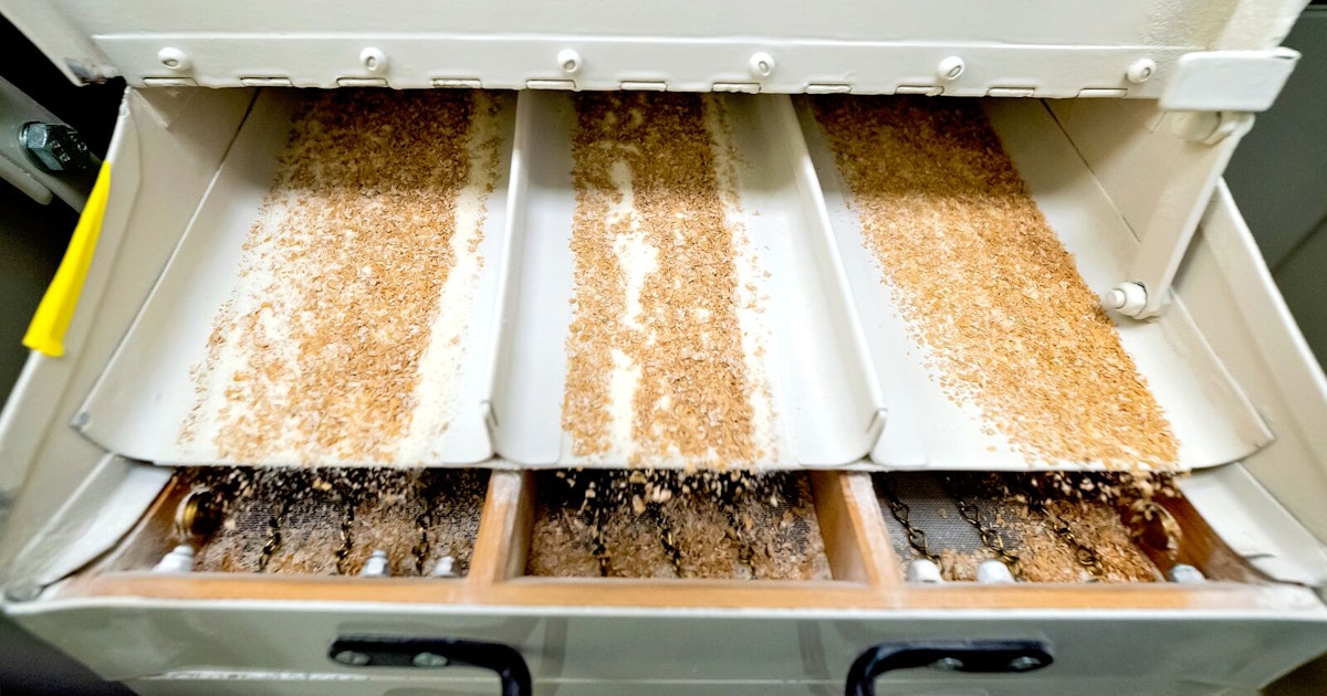 Sampling Analysis | SGS USA