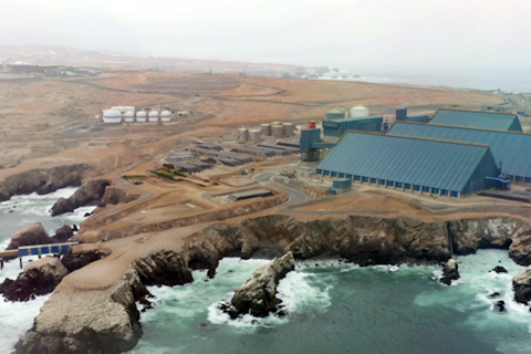 SGS Peru Matarani Port