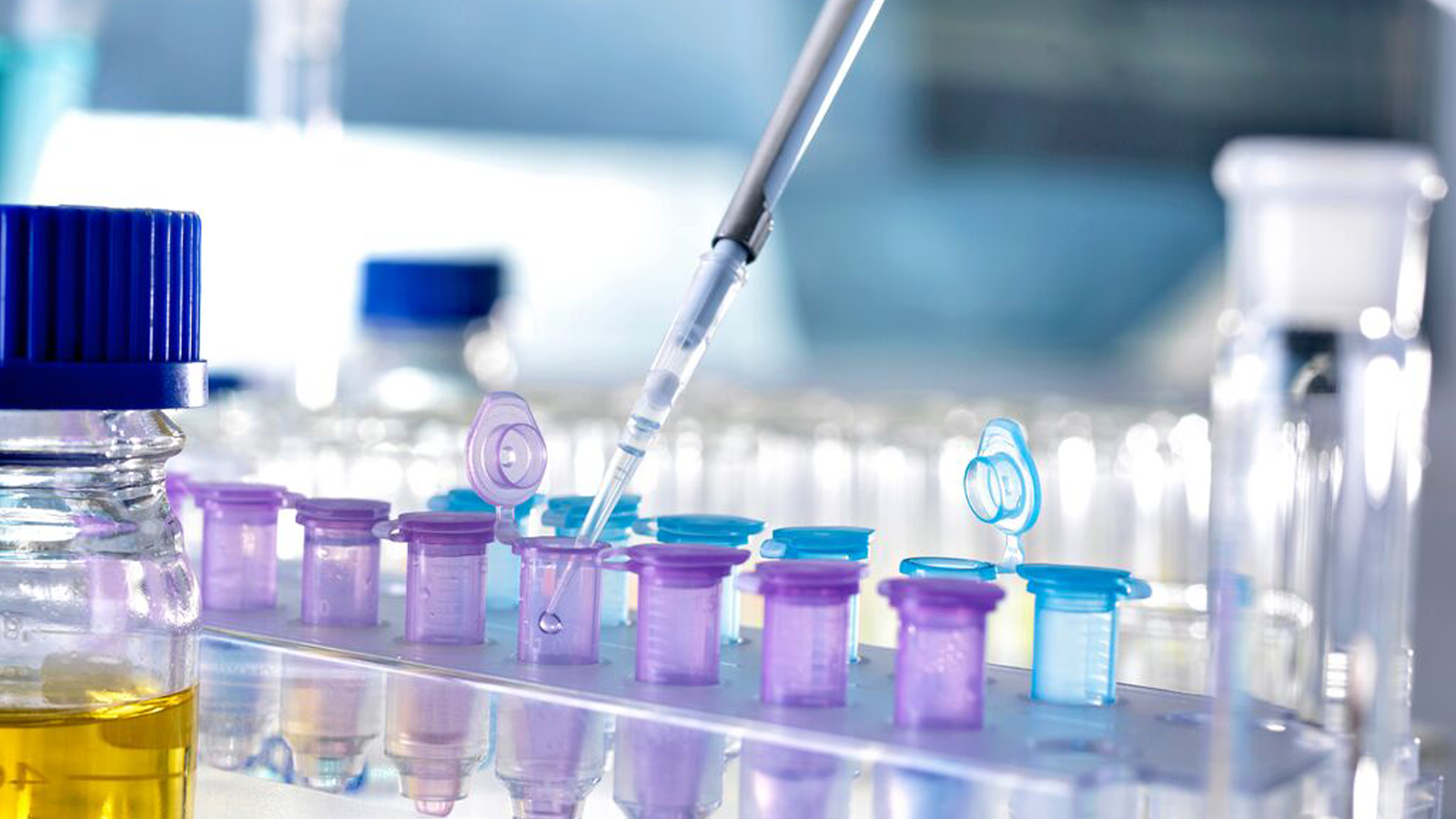 Solution Being Pipetted into Test Tubes for Analysis in Laboratory