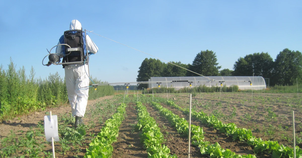 Trust SGS Experts for Dislodgeable Foliar Residue (DFR) Crop Trials in ...