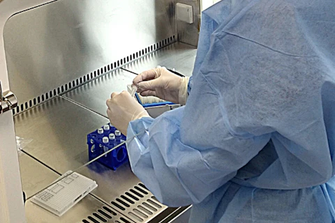 Testing Samples in SGS Glasgow Laboratory