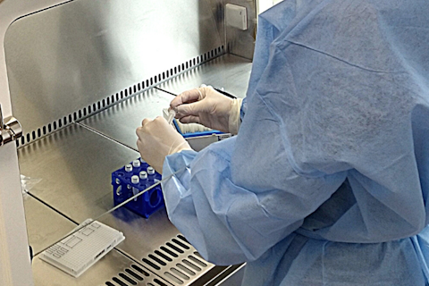 Testing Samples in SGS Glasgow Laboratory