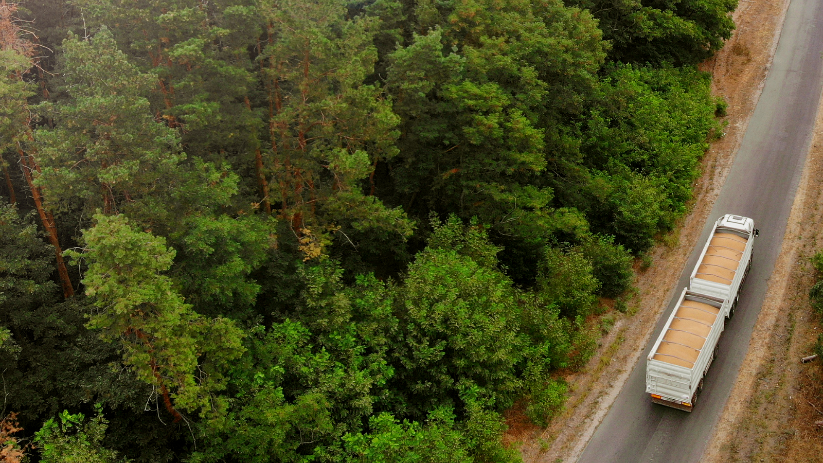 Top view of forest and road