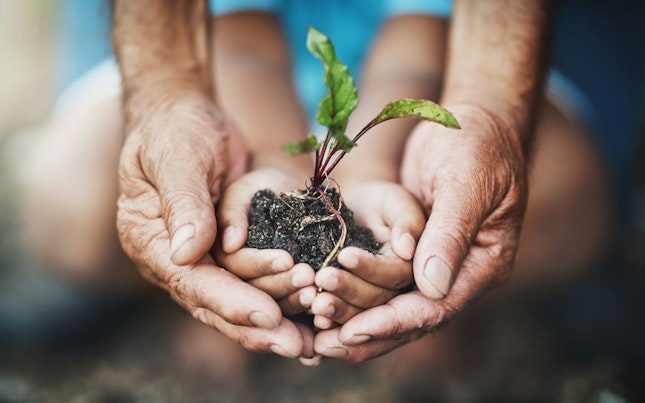 Two Generations Holding a Plant Growing out of Soil