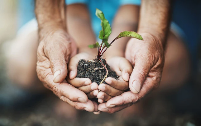 Two Generations Holding a Plant Growing out of Soil