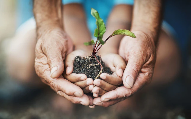 Two Generations Holding a Plant Growing out of Soil