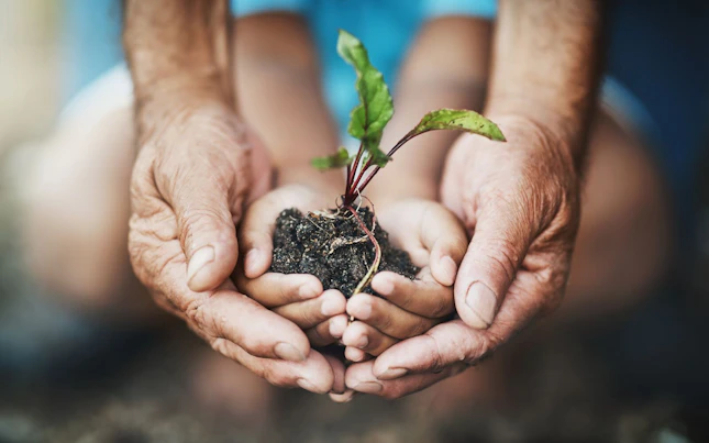 Two Generations Holding a Plant Growing out of Soil