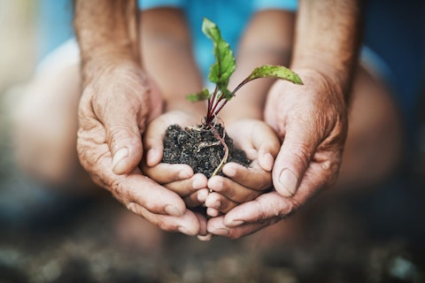 Two Generations Holding a Plant Growing out of Soil