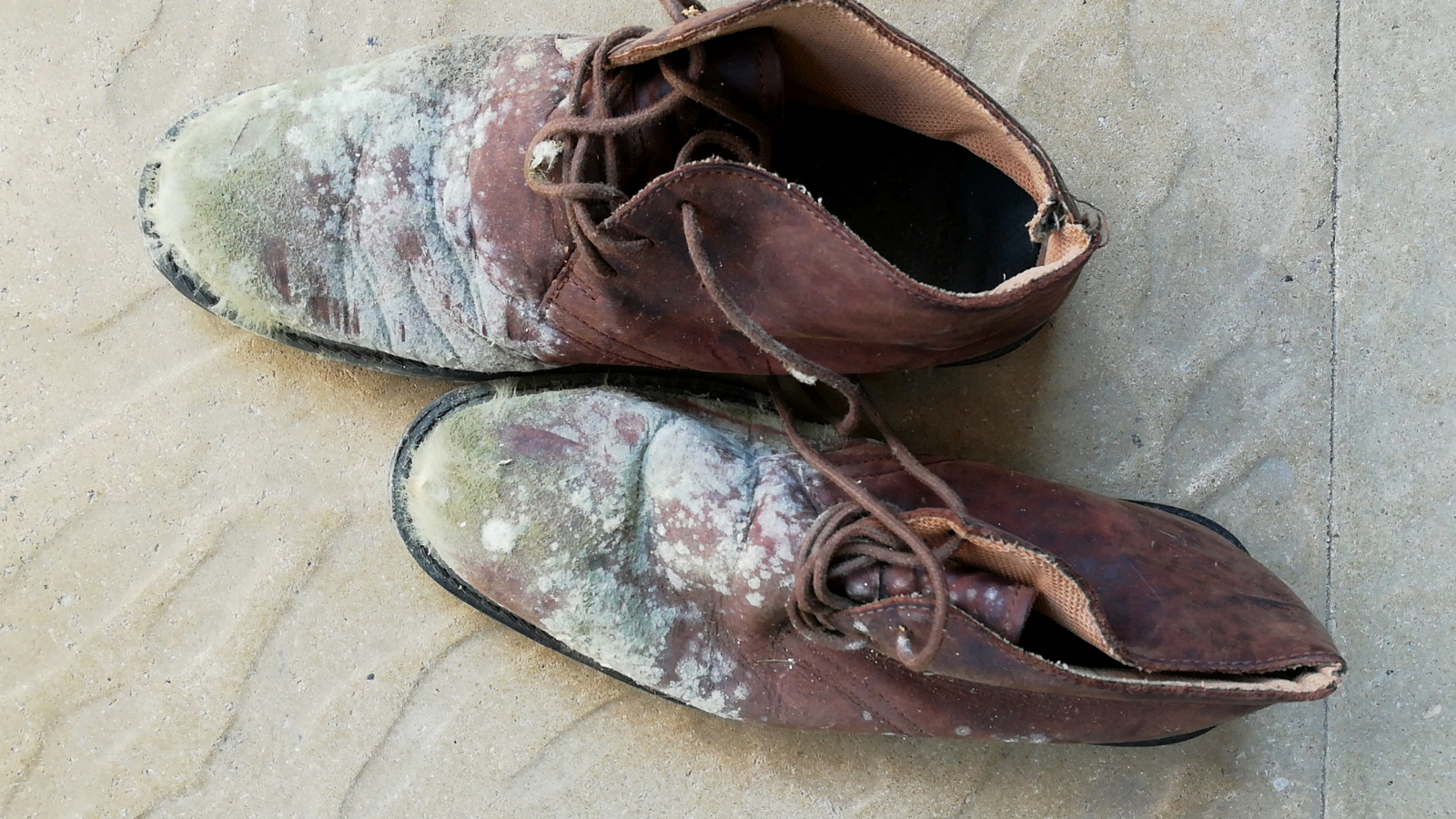 Used Worker Shoes 