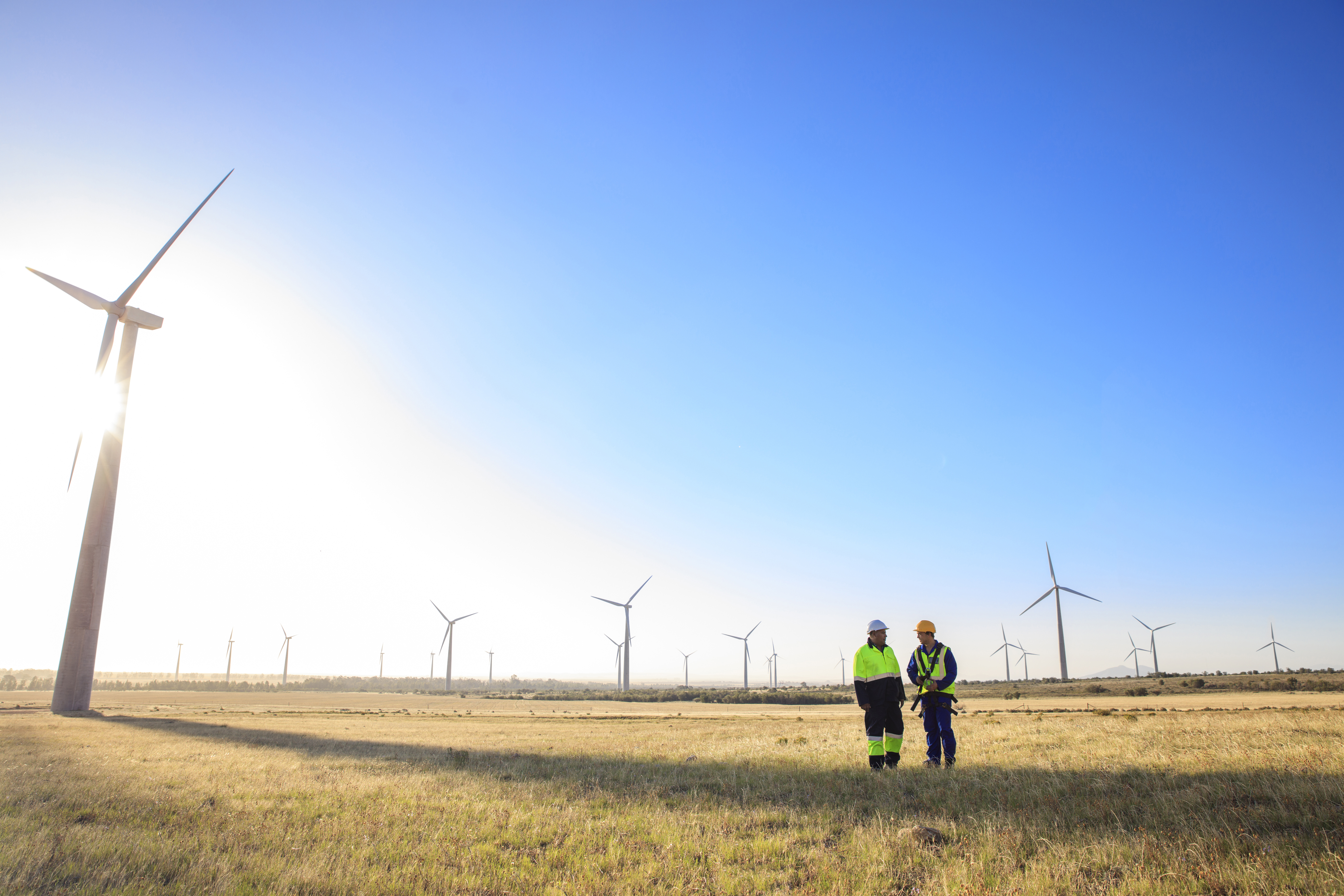 Renewable Energy Concept