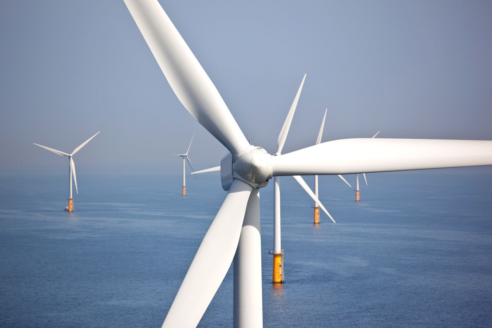 Renewable Energy Concept