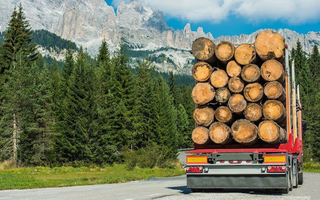 Forest Products Logs