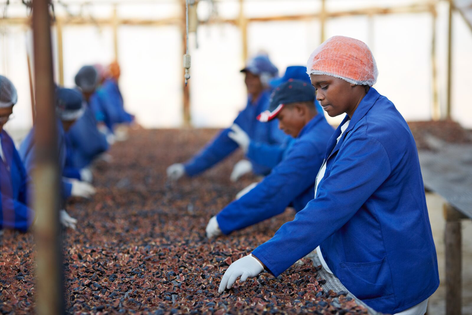 GLOBALG.A.P. SGS Kenya