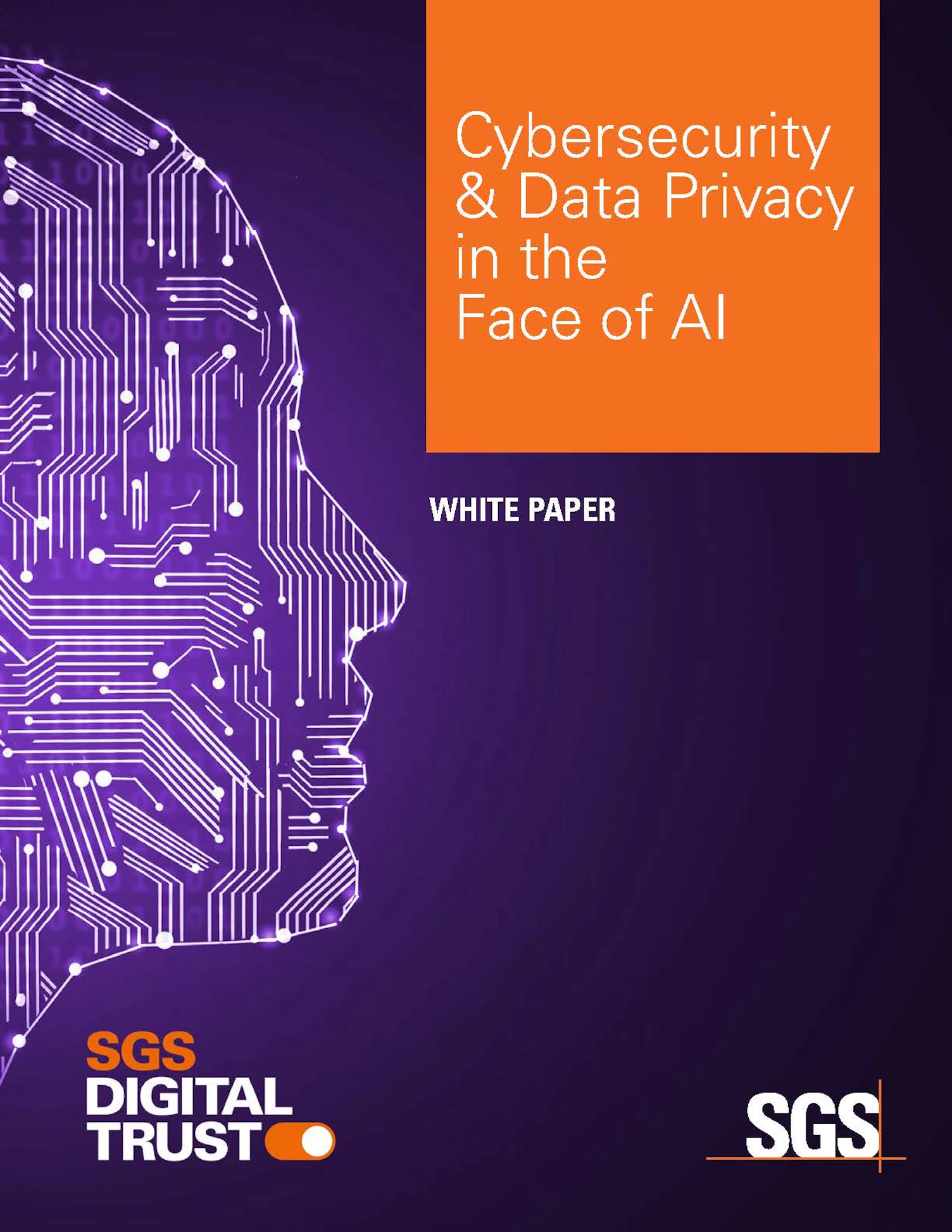 Cybersecurity and Data Privacy in the Face of AI