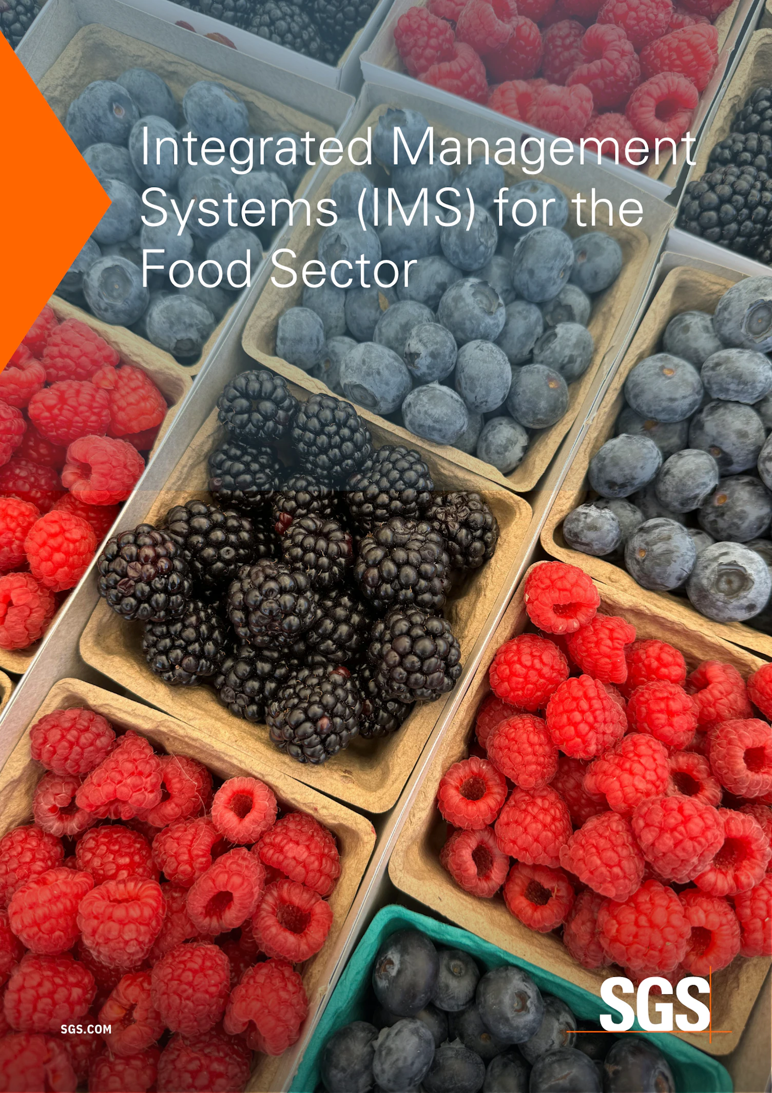 Integrated Management Systems (IMS) for the Food Sector