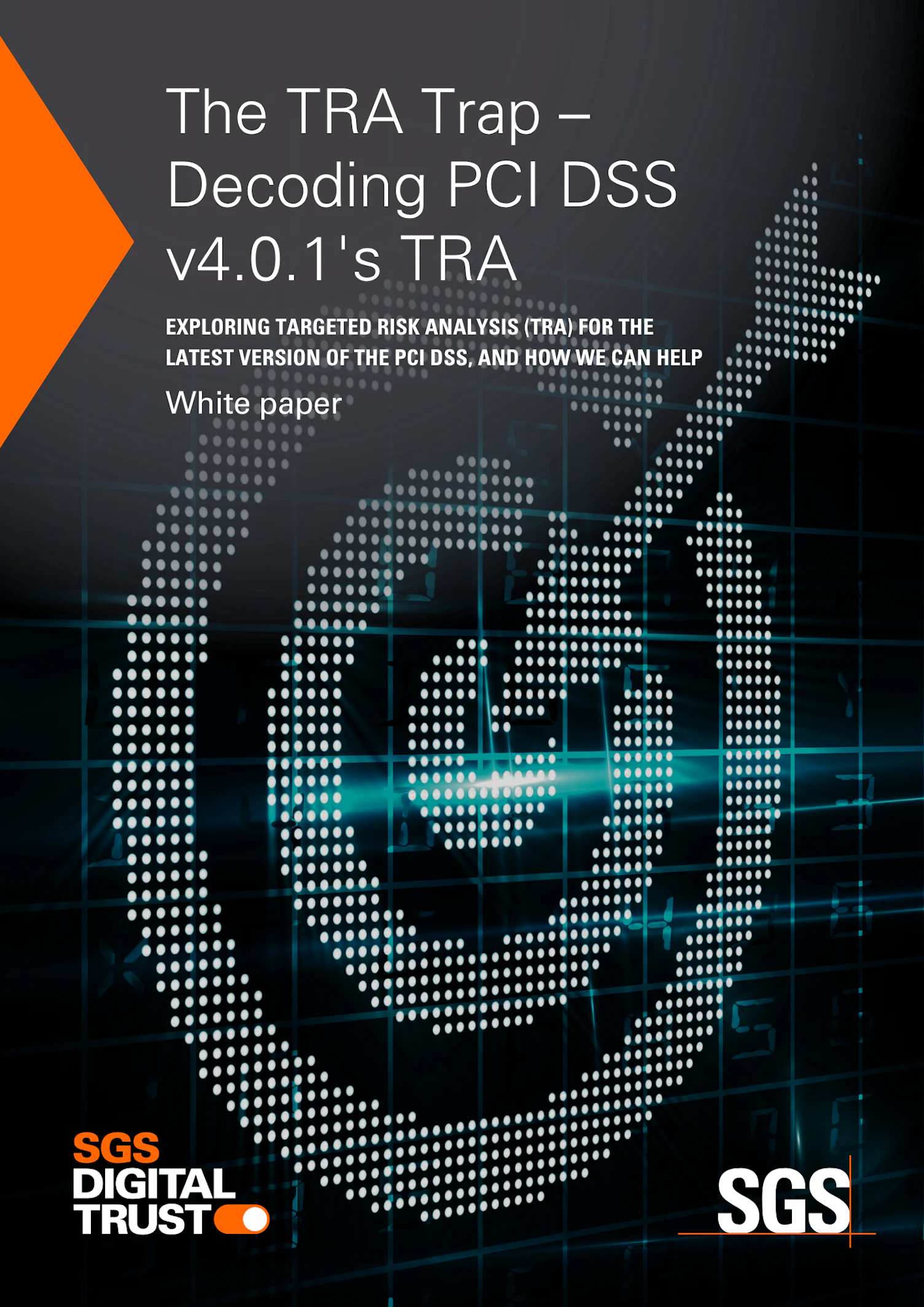PCI DSS White Paper