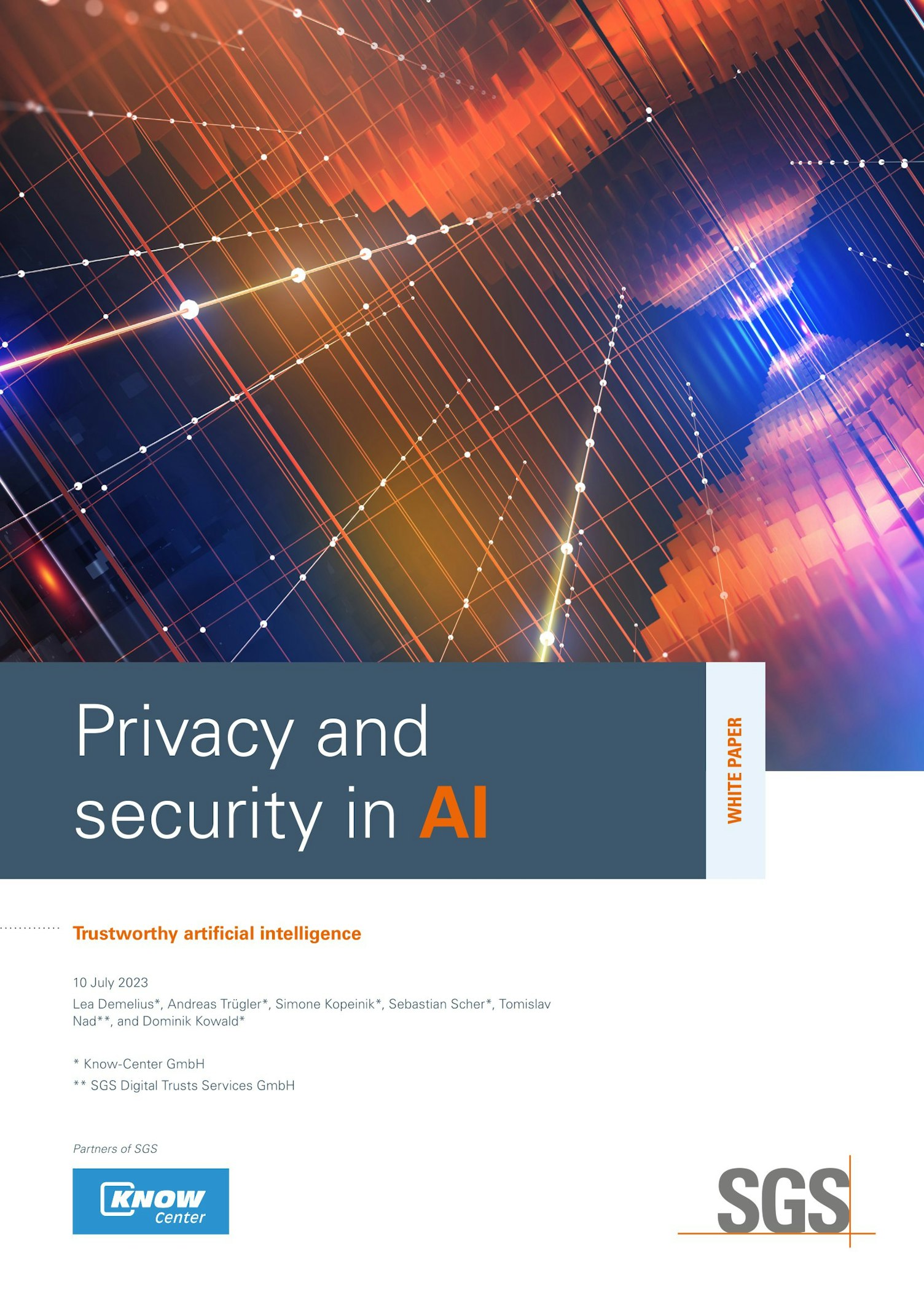 SGS DTI AI Whitepaper Privacy and security in AI