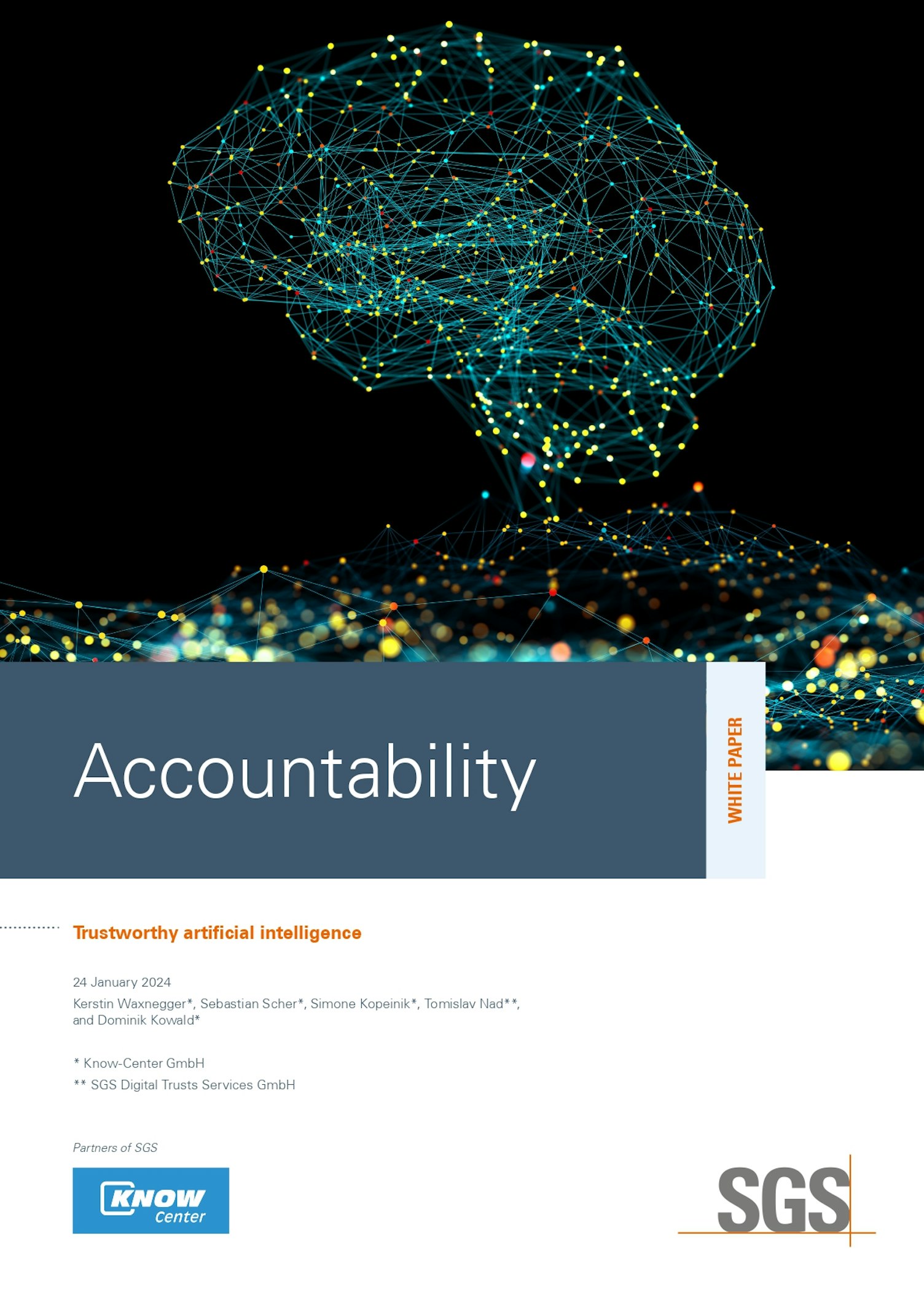 SGS DTI AI Whitepaper Accountability HR
