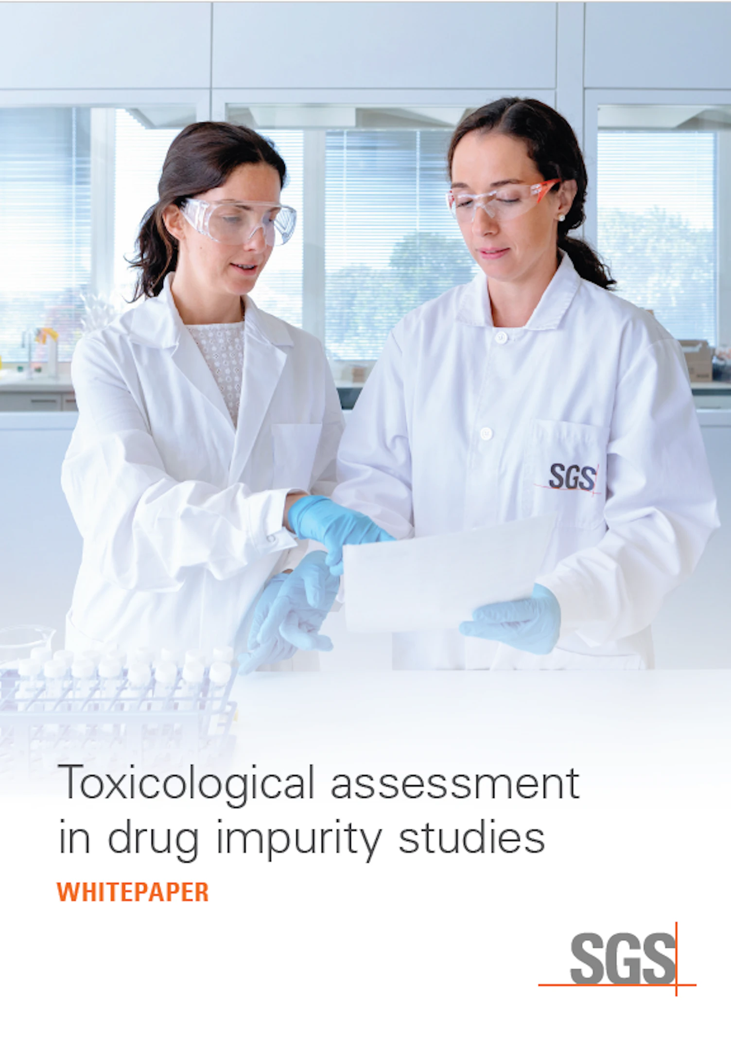 Toxicological Assessment in Drug Impurity Studies